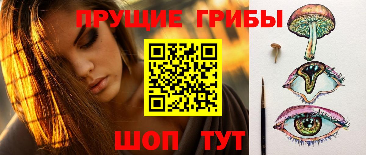 Галлюциногенные грибы мицелий  Вход с VPN  Галлюциногенные грибы Psilocybe  Сибай 